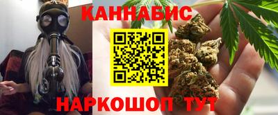 индика Краснознаменск