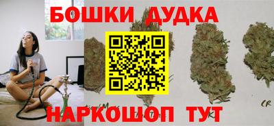 индика Краснознаменск