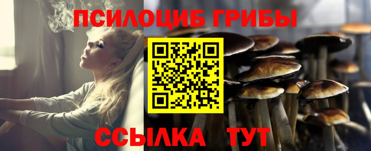 Галлюциногенные грибы GOLDEN TEACHER  Галлюциногенные грибы прущие грибы  где найти наркотики  Кизляр  Вход с VPN 